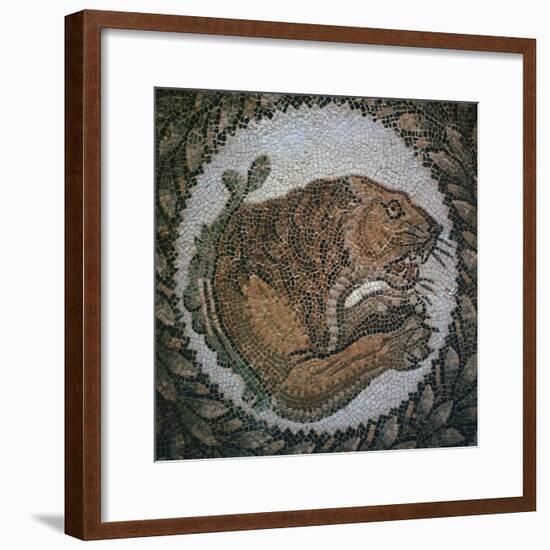 Detail of a Roman mosaic showing the head of a lion, 4th century. Artist: Unknown-Unknown-Framed Giclee Print