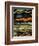 Detail of a Turkey Feather-Darrell Gulin-Framed Photographic Print