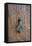 Detail of a Wooden Door and Bronze Knocker-Guy Thouvenin-Framed Premier Image Canvas