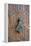 Detail of a Wooden Door and Bronze Knocker-Guy Thouvenin-Framed Premier Image Canvas