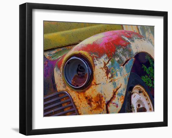 Detail of an Abandoned Chevrolet Truck Headlight-Mallorie Ostrowitz-Framed Photographic Print