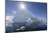 Detail of an iceberg in Paradise Bay, Antarctica, Polar Regions-Michael Nolan-Mounted Photographic Print