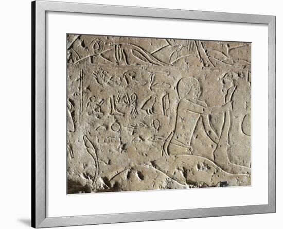 Detail of Ancient Egyptian Limestone Relief Depicting Butchering of Bull, Old Kingdom-null-Framed Giclee Print
