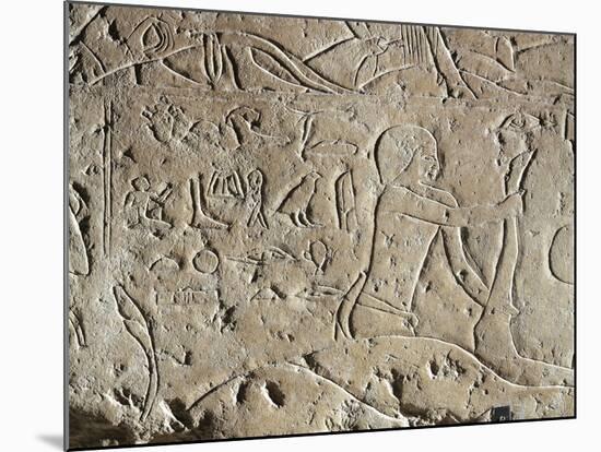 Detail of Ancient Egyptian Limestone Relief Depicting Butchering of Bull, Old Kingdom-null-Mounted Giclee Print