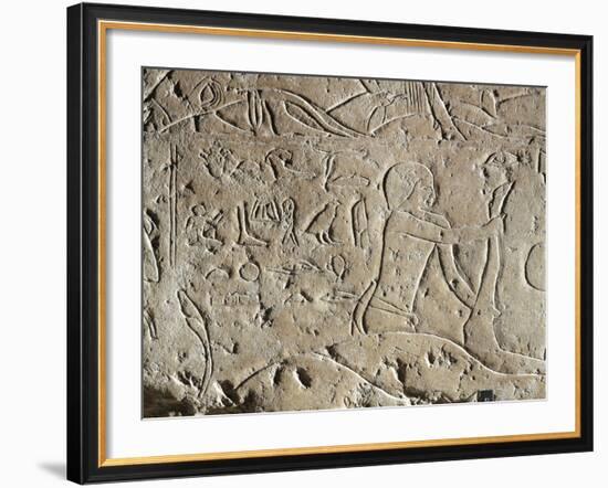 Detail of Ancient Egyptian Limestone Relief Depicting Butchering of Bull, Old Kingdom-null-Framed Giclee Print