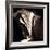 Detail of Antique Pages-Edoardo Pasero-Framed Photographic Print