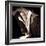 Detail of Antique Pages-Edoardo Pasero-Framed Photographic Print