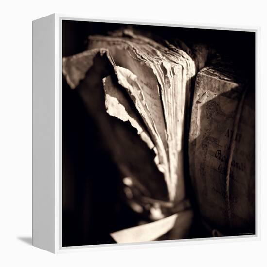 Detail of Antique Pages-Edoardo Pasero-Framed Premier Image Canvas