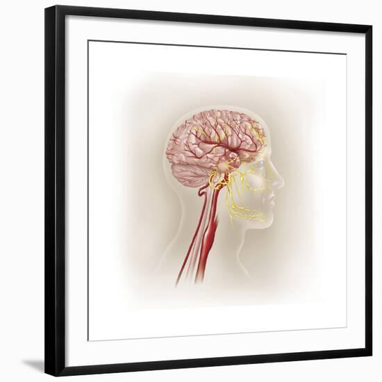 Art Print, , large