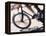 Detail of Blurred Action of Cyclist Competing on the Velodrome-null-Framed Premier Image Canvas