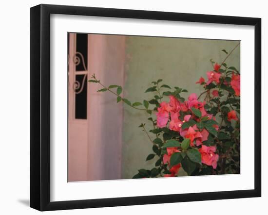 Detail of Bougenvilla in Bloom, Puerto Vallarta, Mexico-Merrill Images-Framed Photographic Print