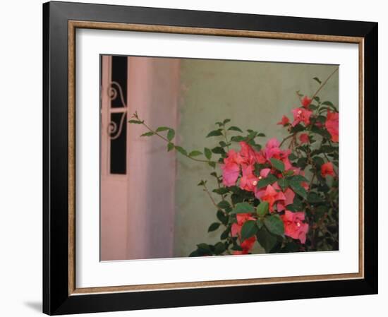 Detail of Bougenvilla in Bloom, Puerto Vallarta, Mexico-Merrill Images-Framed Photographic Print