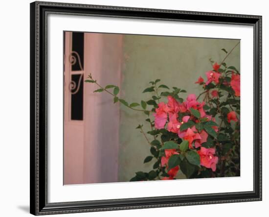 Detail of Bougenvilla in Bloom, Puerto Vallarta, Mexico-Merrill Images-Framed Photographic Print