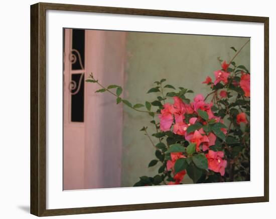 Detail of Bougenvilla in Bloom, Puerto Vallarta, Mexico-Merrill Images-Framed Photographic Print