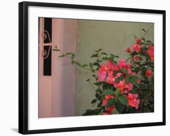 Detail of Bougenvilla in Bloom, Puerto Vallarta, Mexico-Merrill Images-Framed Photographic Print