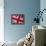 Detail of British Flag-null-Framed Premier Image Canvas displayed on a wall