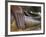 Detail of Buddha Statue, Wat Sa Si, Vientiane, Laos-Michele Falzone-Framed Photographic Print