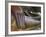 Detail of Buddha Statue, Wat Sa Si, Vientiane, Laos-Michele Falzone-Framed Photographic Print