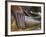 Detail of Buddha Statue, Wat Sa Si, Vientiane, Laos-Michele Falzone-Framed Photographic Print