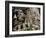 Detail of Carved Faces at Baray Temple, Angkor Wat, Cambodia-Mark Hannaford-Framed Photographic Print