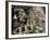 Detail of Carved Faces at Baray Temple, Angkor Wat, Cambodia-Mark Hannaford-Framed Photographic Print