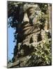 Detail of Carved Faces at Baray Temple, Angkor Wat, Cambodia-Mark Hannaford-Mounted Photographic Print