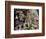 Detail of Carved Faces at Baray Temple, Angkor Wat, Cambodia-Mark Hannaford-Framed Photographic Print