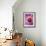 Detail of Clematis Flower-Darrell Gulin-Framed Photographic Print displayed on a wall