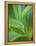 Detail of Corn Lilly-Ethan Welty-Framed Premier Image Canvas