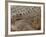 Detail of Crocodile Skin, Australia-David Wall-Framed Photographic Print