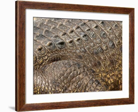 Detail of Crocodile Skin, Australia-David Wall-Framed Photographic Print