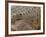 Detail of Crocodile Skin, Australia-David Wall-Framed Photographic Print