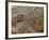 Detail of Crocodile Skin, Australia-David Wall-Framed Photographic Print