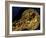 Detail of Dagger, Gold Artifacts from Tillya Tepe Find, Burial 4, Six Tombs of Bactrian Nomads-Kenneth Garrett-Framed Photographic Print