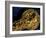 Detail of Dagger, Gold Artifacts from Tillya Tepe Find, Burial 4, Six Tombs of Bactrian Nomads-Kenneth Garrett-Framed Photographic Print