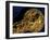 Detail of Dagger, Gold Artifacts from Tillya Tepe Find, Burial 4, Six Tombs of Bactrian Nomads-Kenneth Garrett-Framed Photographic Print