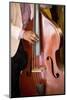 Detail of Double Bass Being Played by a Local Musician in Bar El Floridita-Lee Frost-Mounted Photographic Print