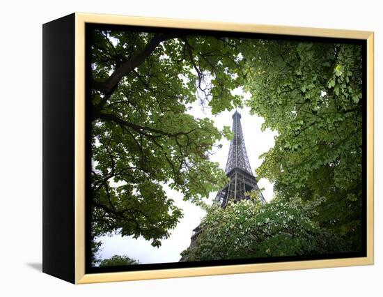 Detail of Eiffel Tower, Paris, France-Jim Zuckerman-Framed Premier Image Canvas