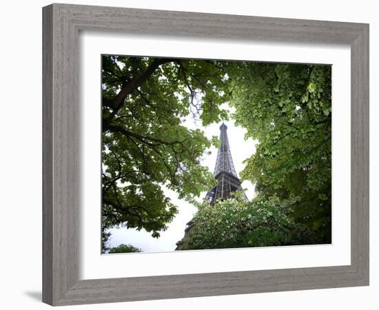 Detail of Eiffel Tower, Paris, France-Jim Zuckerman-Framed Photographic Print