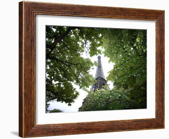 Detail of Eiffel Tower, Paris, France-Jim Zuckerman-Framed Photographic Print