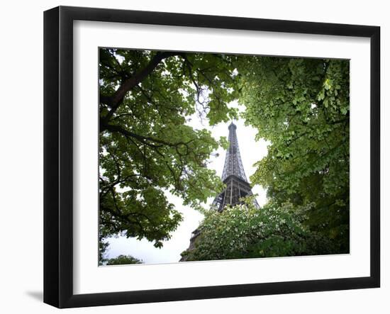 Detail of Eiffel Tower, Paris, France-Jim Zuckerman-Framed Photographic Print