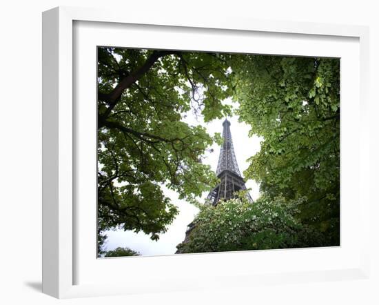 Detail of Eiffel Tower, Paris, France-Jim Zuckerman-Framed Photographic Print