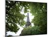 Detail of Eiffel Tower, Paris, France-Jim Zuckerman-Mounted Photographic Print