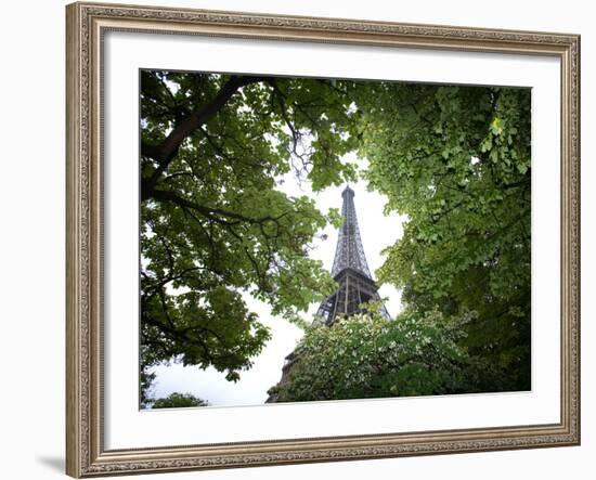 Detail of Eiffel Tower, Paris, France-Jim Zuckerman-Framed Photographic Print