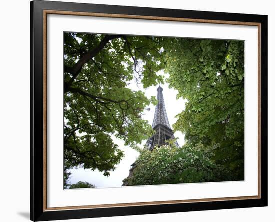 Detail of Eiffel Tower, Paris, France-Jim Zuckerman-Framed Photographic Print