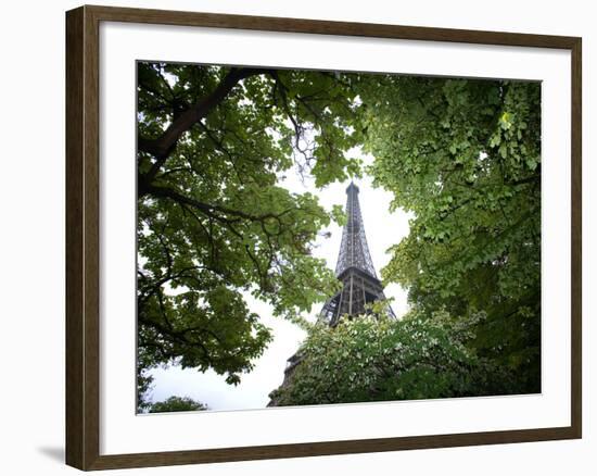 Detail of Eiffel Tower, Paris, France-Jim Zuckerman-Framed Photographic Print