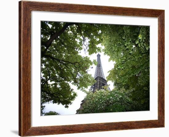 Detail of Eiffel Tower, Paris, France-Jim Zuckerman-Framed Photographic Print