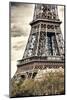 Detail of Eiffel Tower - Paris - France-Philippe Hugonnard-Mounted Photographic Print