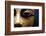 Detail of Eyes in Egyptian Wooden Coffin-null-Framed Photographic Print