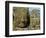 Detail of Face on Bayon Temple-Bob Krist-Framed Photographic Print